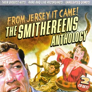 From Jersey it came! : the Smithereens anthology